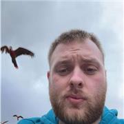 Looking to assist in GCSE and Alevel Revison